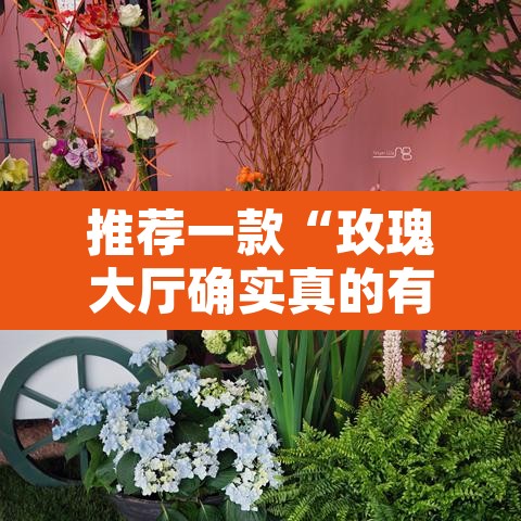 推荐一款“玫瑰大厅确实真的有挂”其实确实有挂