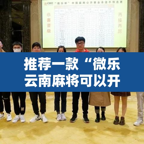 推荐一款“微乐云南麻将可以开挂吗	”(透视挂)辅助透视教程