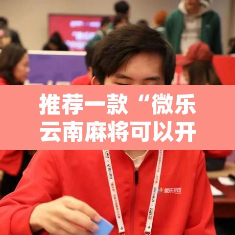 推荐一款“微乐云南麻将可以开挂吗	”(透视挂)辅助透视教程