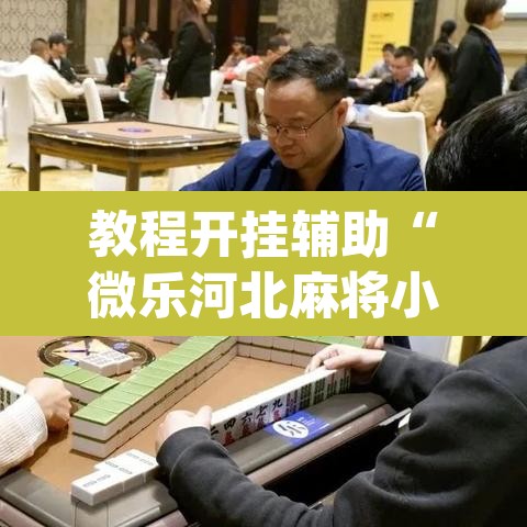 教程开挂辅助“微乐河北麻将小程序万能挂免费版”(透视)其实确实有挂