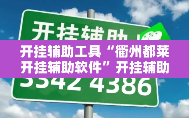 开挂辅助工具“衢州都莱开挂辅助软件	”开挂辅助脚本+详细开挂安装教程