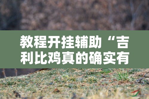 教程开挂辅助“吉利比鸡真的确实有挂”其实确实有挂