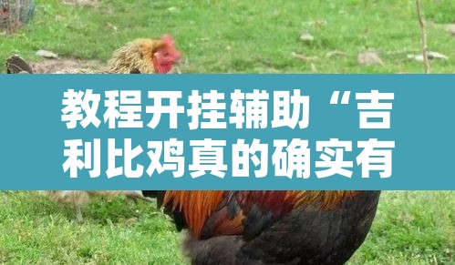 教程开挂辅助“吉利比鸡真的确实有挂”其实确实有挂