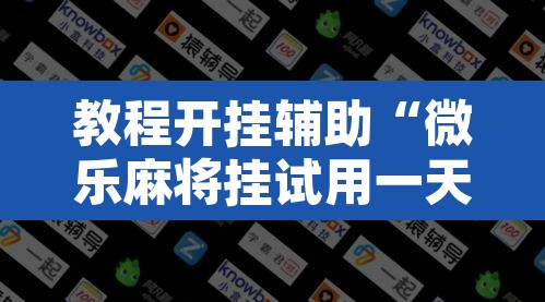 教程开挂辅助“微乐麻将挂试用一天”开挂辅助脚本+详细开挂安装教程