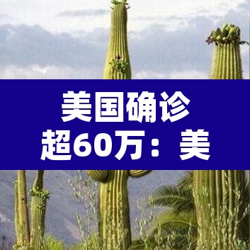 美国确诊超60万:美国确诊超1619万 美国确诊超60万:美国确诊超1619万