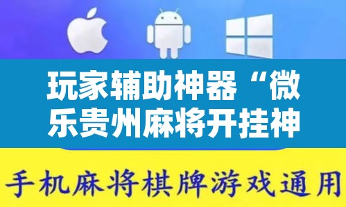玩家辅助神器“微乐贵州麻将开挂神器	”其实确实有挂