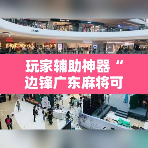 玩家辅助神器“边锋广东麻将可不可以开挂”开挂辅助脚本+详细开挂安装教程