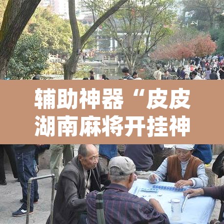 辅助神器“皮皮湖南麻将开挂神器	”(透视)其实确实有挂