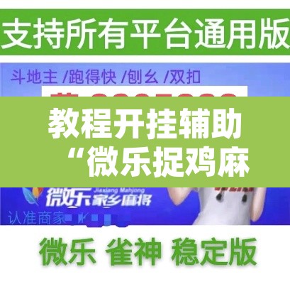 教程开挂辅助“微乐捉鸡麻将开挂器下载安装	”开挂辅助脚本+详细开挂安装教程