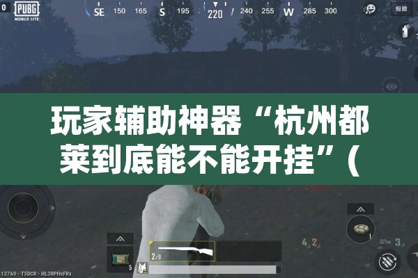玩家辅助神器“杭州都莱到底能不能开挂”(透视)其实确实有挂