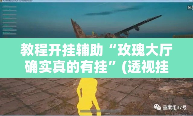 教程开挂辅助“玫瑰大厅确实真的有挂”(透视挂)辅助透视教程