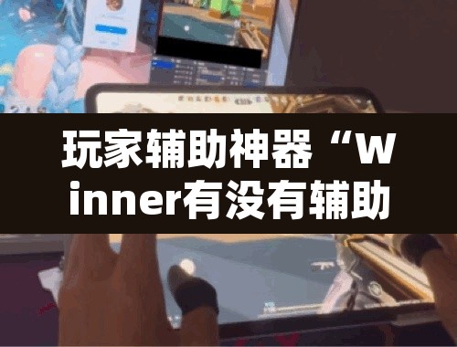 玩家辅助神器“Winner有没有辅助	”(透视)其实确实有挂