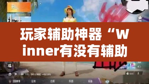 玩家辅助神器“Winner有没有辅助”(透视)其实确实有挂