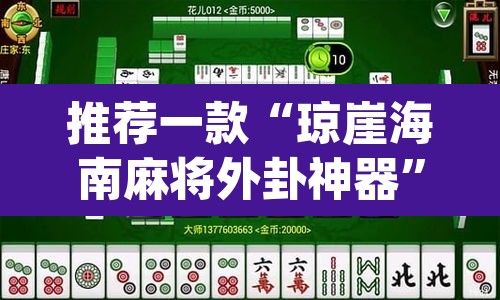 推荐一款“琼崖海南麻将外卦神器”(透视挂)辅助透视教程
