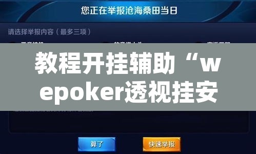 教程开挂辅助“wepoker透视挂安装”开挂辅助脚本+详细开挂安装教程