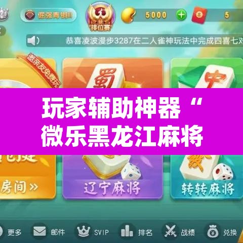 玩家辅助神器“微乐黑龙江麻将宝规律是什么”(透视挂)辅助透视教程