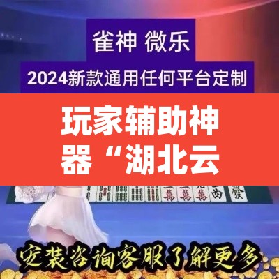 玩家辅助神器“湖北云雀麻将其实是可以开挂	”(透视)其实确实有挂