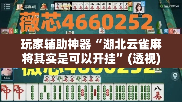 玩家辅助神器“湖北云雀麻将其实是可以开挂”(透视)其实确实有挂
