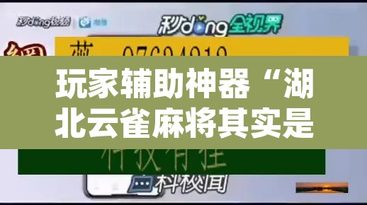 玩家辅助神器“湖北云雀麻将其实是可以开挂”(透视)其实确实有挂