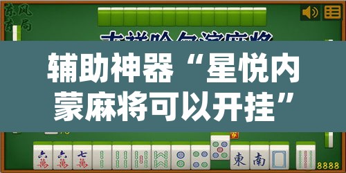 辅助神器“星悦内蒙麻将可以开挂”(透视挂)辅助透视教程