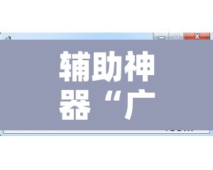 辅助神器“广西八一字牌开挂辅助软件	”开挂辅助脚本+详细开挂安装教程