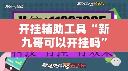 开挂辅助工具“新九哥可以开挂吗”(透视)其实确实有挂