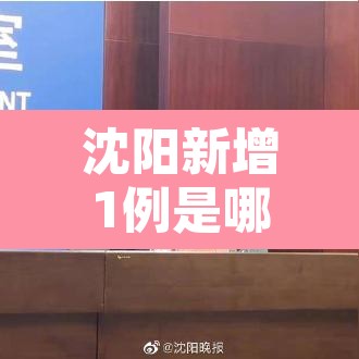 沈阳新增1例是哪的—(沈阳新增一例是哪个区的) 沈阳新增1例是哪的—(沈阳新增一例是哪个区的)