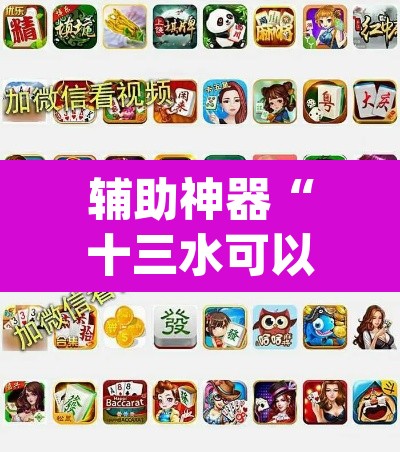 辅助神器“十三水可以开挂吗”(透视挂)辅助透视教程