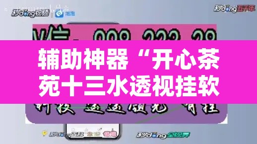 辅助神器“开心茶苑十三水透视挂软件”附辅助神器开挂脚本详细步骤