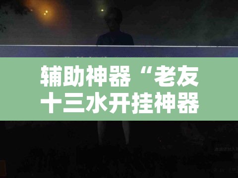 辅助神器“老友十三水开挂神器”其实确实有挂