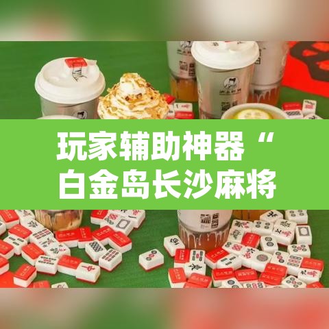 玩家辅助神器“白金岛长沙麻将开挂app下载”附辅助神器开挂脚本详细步骤