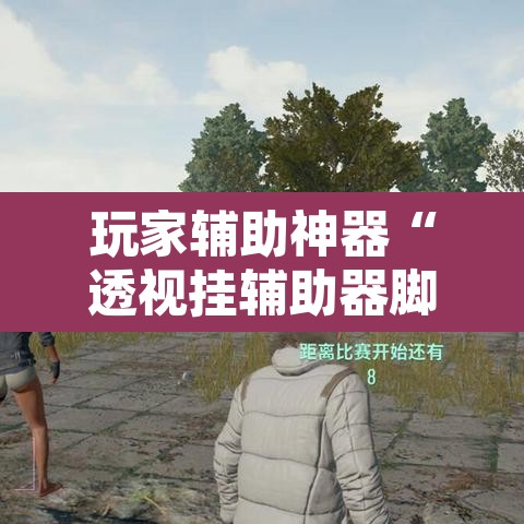 玩家辅助神器“透视挂辅助器脚本”开挂辅助脚本+详细开挂安装教程