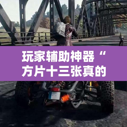 玩家辅助神器“方片十三张真的有透视挂吗	”(透视)其实确实有挂
