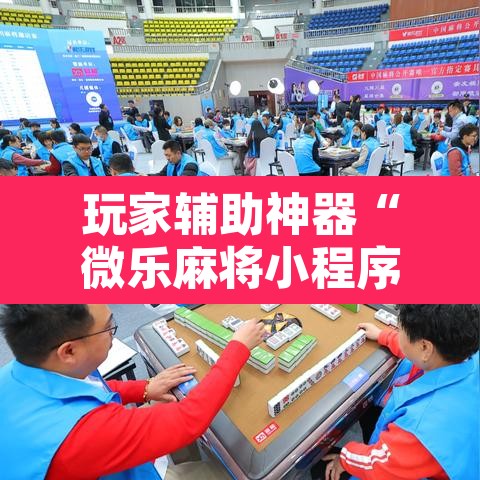 玩家辅助神器“微乐麻将小程序必赢神器免费安装”其实确实有挂