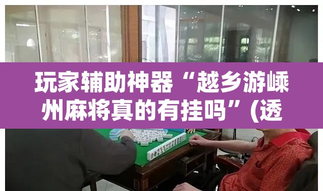 玩家辅助神器“越乡游嵊州麻将真的有挂吗”(透视)其实确实有挂