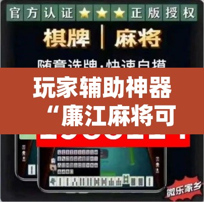 玩家辅助神器“廉江麻将可以作弊吗”(透视挂)辅助透视教程