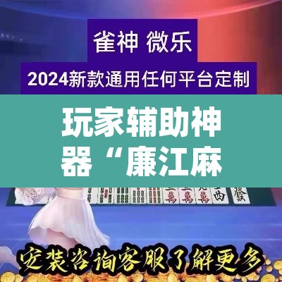 玩家辅助神器“廉江麻将可以作弊吗”(透视挂)辅助透视教程