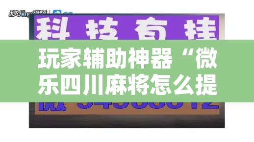 玩家辅助神器“微乐四川麻将怎么提高胜率	”其实确实有挂