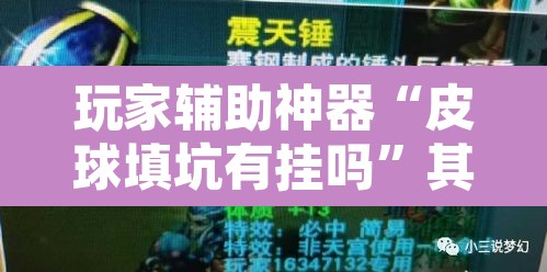 玩家辅助神器“皮球填坑有挂吗	”其实确实有挂