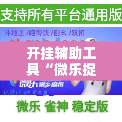开挂辅助工具“微乐捉老麻子开挂神器”附辅助神器开挂脚本详细步骤