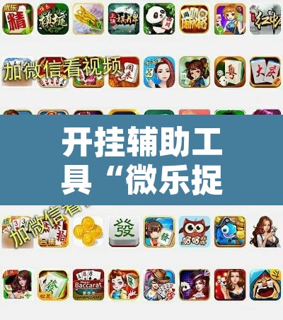 开挂辅助工具“微乐捉老麻子开挂神器	”附辅助神器开挂脚本详细步骤