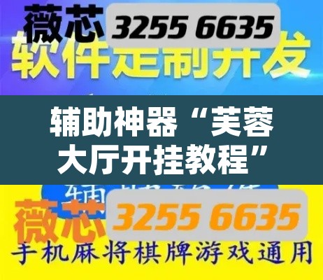 辅助神器“芙蓉大厅开挂教程	”开挂辅助脚本+详细开挂安装教程