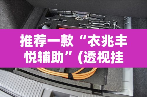 推荐一款“衣兆丰悦辅助”(透视挂)辅助透视教程
