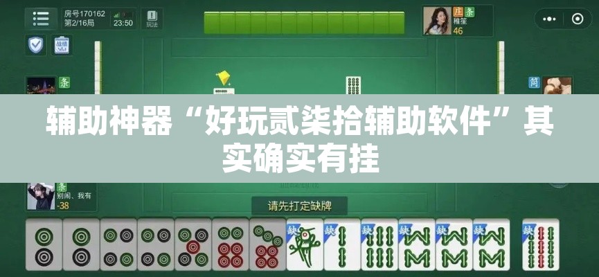 辅助神器“好玩贰柒拾辅助软件”其实确实有挂