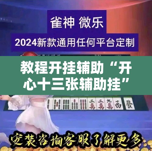 教程开挂辅助“开心十三张辅助挂	”其实确实有挂