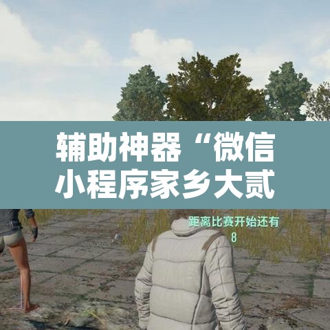 辅助神器“微信小程序家乡大贰透视”附辅助神器开挂脚本详细步骤