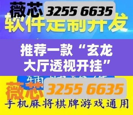 推荐一款“玄龙大厅透视开挂	”开挂辅助脚本+详细开挂安装教程