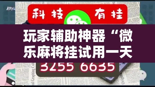 玩家辅助神器“微乐麻将挂试用一天”附辅助神器开挂脚本详细步骤