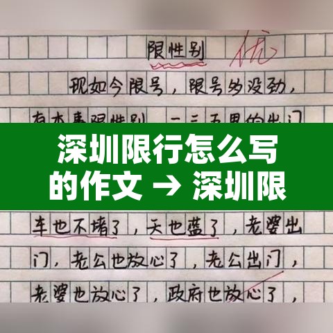 深圳限行怎么写的作文 → 深圳限行文件