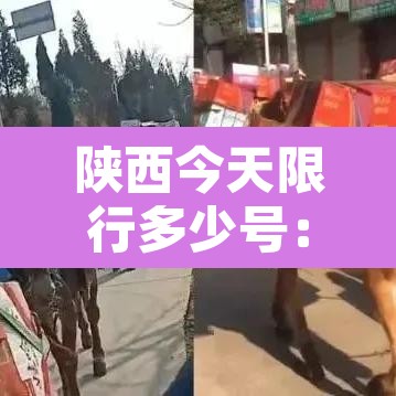 陕西今天限行多少号:陕西今天限号的尾号是 陕西今天限行多少号:陕西今天限号的尾号是
